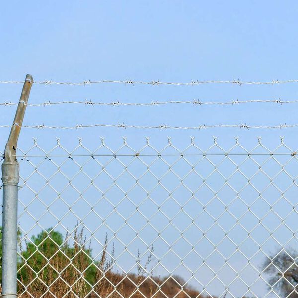 Pigtr&aring;dshegn barbed wire