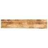 vidaXL bordplade 160x20x2,5 cm naturlig kant massivt ru mangotr&aelig;