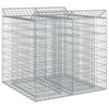 vidaXL Gabion h&oslash;jbed 2 stk. 100 x 100 x 100 cm Galvaniseret st&aring;l S&oslash;lv