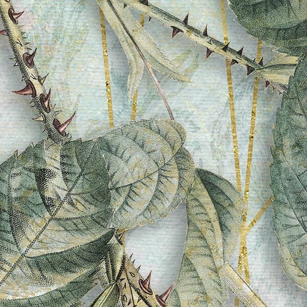 Komar fototapet La Rosa 200x250 cm