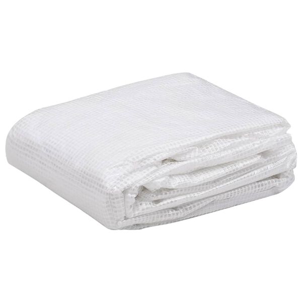 vidaXL overtræk til drivhus (27 m²) 3x9x2 m transparent