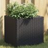vidaXL plantekasser 2 stk. 36x30x32 cm polyrattan sort