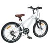 vidaXL Kids Mountain Bike 20 tommer 6-Speed til 5-8 &aring;r gamle Hvid