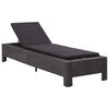 vidaXL solseng med hynde polyrattan sort