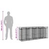 vidaXL Gabion h&oslash;jbed 2 pcs S&oslash;lv 200 x 50 x 80 cm Galvaniseret st&aring;l
