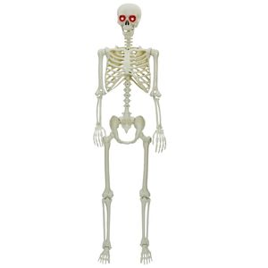 vidaXL Halloween Skelet Hvid 155 x 38,5 cm Polypropylen
