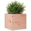 vidaXL plantekasse 50x50x45,5 cm massivt douglasgran