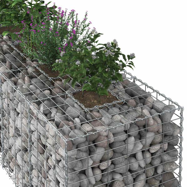 vidaXL Gabion h&oslash;jbed S&oslash;lv 180 x 60 x 55 cm Galvaniseret st&aring;l
