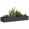 vidaXL plantekasse 280x80x40 cm st&aring;l sort