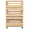 vidaXL grøntsagsvogn 37x30x80 cm massiv fyrretræ
