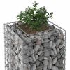 vidaXL Gabion h&oslash;jbed S&oslash;lv 50 x 50 x 150 cm Galvaniseret st&aring;l