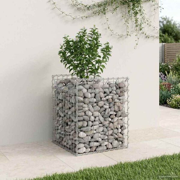 vidaXL Gabion h&oslash;jbed S&oslash;lv 50 x 50 x 60 cm Galvaniseret st&aring;l