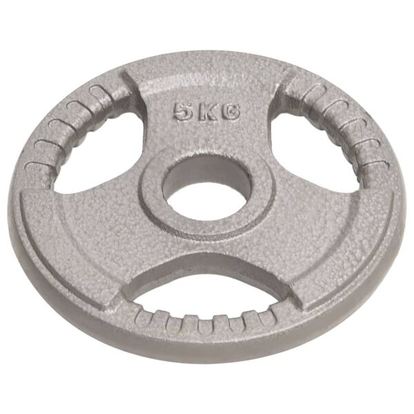 vidaXL olympiske v&aelig;gtskiver 2 stk. 10 kg st&oslash;bejern