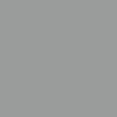 vidaXL haveskur med udvidet tag 277x110,5x181 cm stål lysegrå