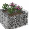 vidaXL Gabion h&oslash;jbed S&oslash;lv 100 x 100 x 60 cm Galvaniseret st&aring;l
