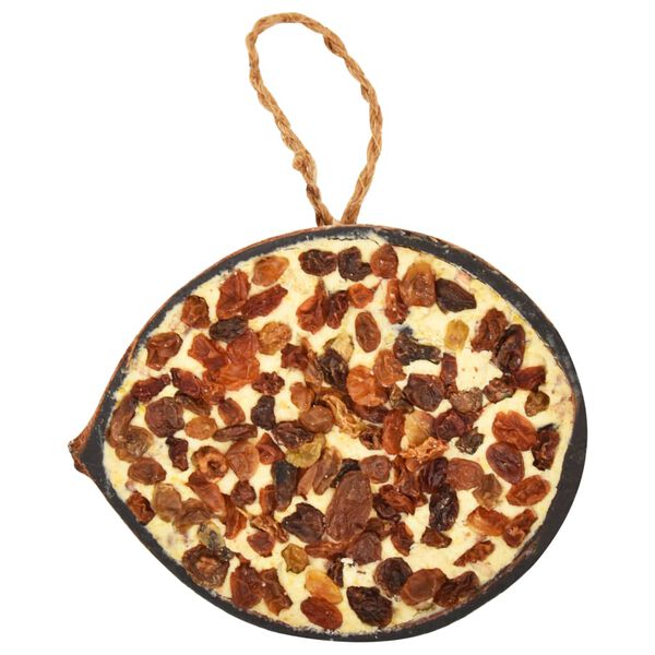 vidaXL fuglefoder 10 stk. fyldte halve kokosnødder 290 g