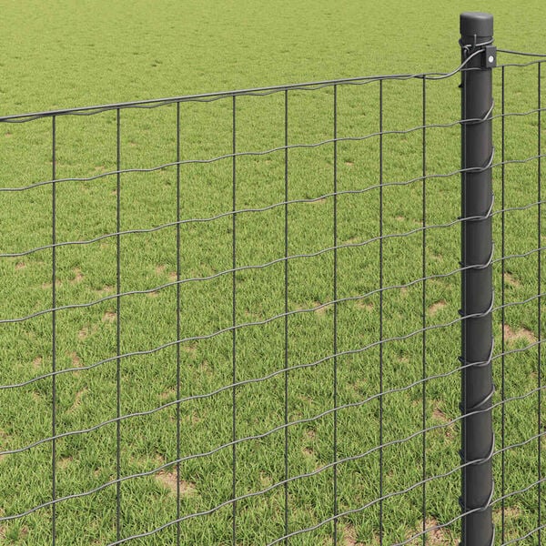 vidaXL Euro Hejn Gr&aring; 1,6 x 10 m PVC-belagt jern