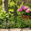 Produktminiaturebillede 2 af 6