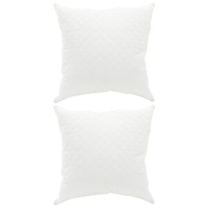 vidaXL Hovedpude FULDA 2 stk. 65 x 65 cm 100% g&aring;sefed og fjer Hvid