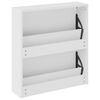vidaXL skoskab med spejl 2 hylder 63x17x67 cm hvid h&oslash;jglans