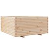 vidaXL plantekasse 100x100x49,5 cm massivt fyrretr&aelig;