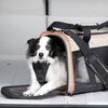 Kurgo rejsetaske til hunde Wander Carrier sort orange og sandfarvet