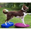 FitPAWS balancebræt til kæledyr 56 cm bærfarvet