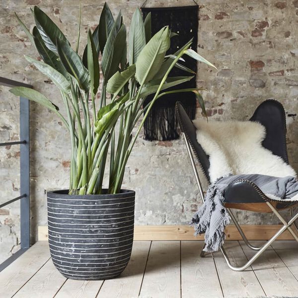 Capi krukke Nature Row 54x52 cm antracitgrå KRWZ935