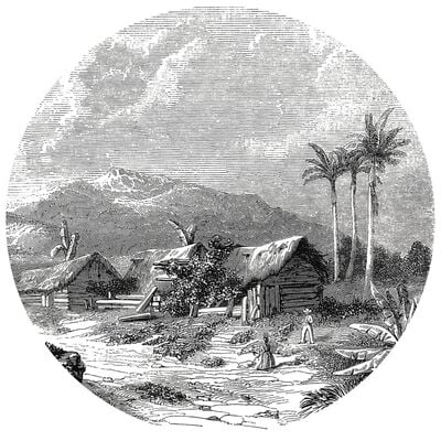 WallArt tapetcirkel Landscape of Guadeloupe 190 cm