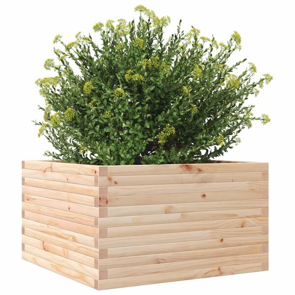 vidaXL plantekasse 80x80x45,5 cm massivt fyrretr&aelig;