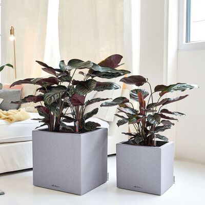 LECHUZA plantekrukke CANTO Stone 30 Low ALL-IN-ONE stengrå