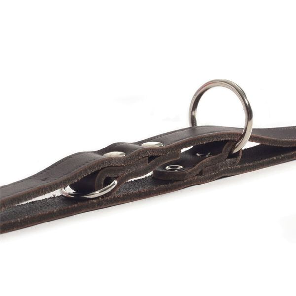 Beeztees tr&aelig;ningssnor l&aelig;der brun 200x1,2 cm 736401