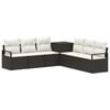 Black_and_cream_white