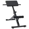 vidaXL Hyperextension b&aelig;nk Sort 100,5 x 70 x 78 cm Pulverlakeret st&aring;l