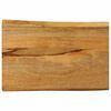 vidaXL bordplade 60x40x3,8 cm naturlig kant massivt mangotr&aelig;