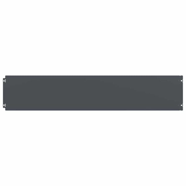 vidaXL pl&aelig;nekanter 10 stk. 20x103 cm koldvalset st&aring;l antracit