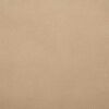 vidaXL Frostbeskyttelsesplante fleece Beige 20 x 3,2 m Non-woven stof