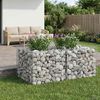 vidaXL Gabion h&oslash;jbed S&oslash;lv 100 x 100 x 60 cm Galvaniseret st&aring;l
