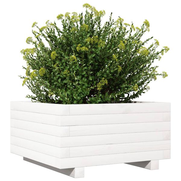 vidaXL plantekasse 50x50x26,5 cm massivt fyrretr&aelig; hvid