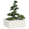 vidaXL plantekasse 100x100x40 cm st&aring;l hvid