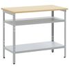 vidaXL Arbejdsbord med hylde Gr&aring; 100 x 55 x 85 cm Pulverlakeret st&aring;l