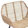 vidaXL Spisestuestol 2 pcs Naturfarvet 55 x 50 x 74 cm Rattan og Jern