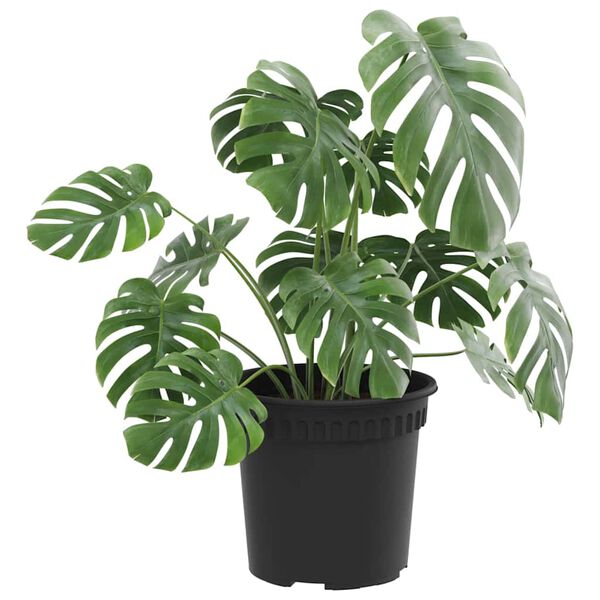 Viser produktbillede 3 af 9