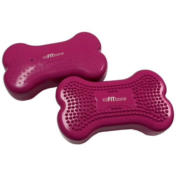 FitPAWS balanceplatform til hunde 2 stk. Mini K9FITbone 29x16,5x6 cm