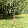 Produktminiaturebillede 2 af 7