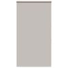 vidaXL Bruserullegardin med kassette 120x240 cm Stofbredde 116 cm
