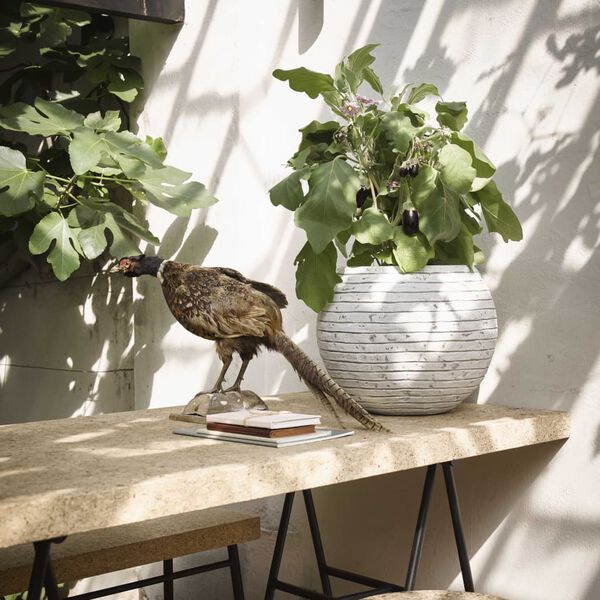 Capi krukke Nature Row 40x32 cm kugleformet elfenbensfarvet KRWI270