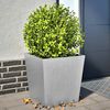vidaXL plantekasser 2 stk. 50x50x50 cm galvaniseret st&aring;l
