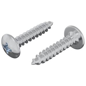 vidaXL Selvborende skrue 2 pcs Zinkbelagt 4 x 20 mm St&aring;l