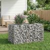 vidaXL Gabion h&oslash;jbed S&oslash;lv 100 x 60 x 55 cm Galvaniseret st&aring;l